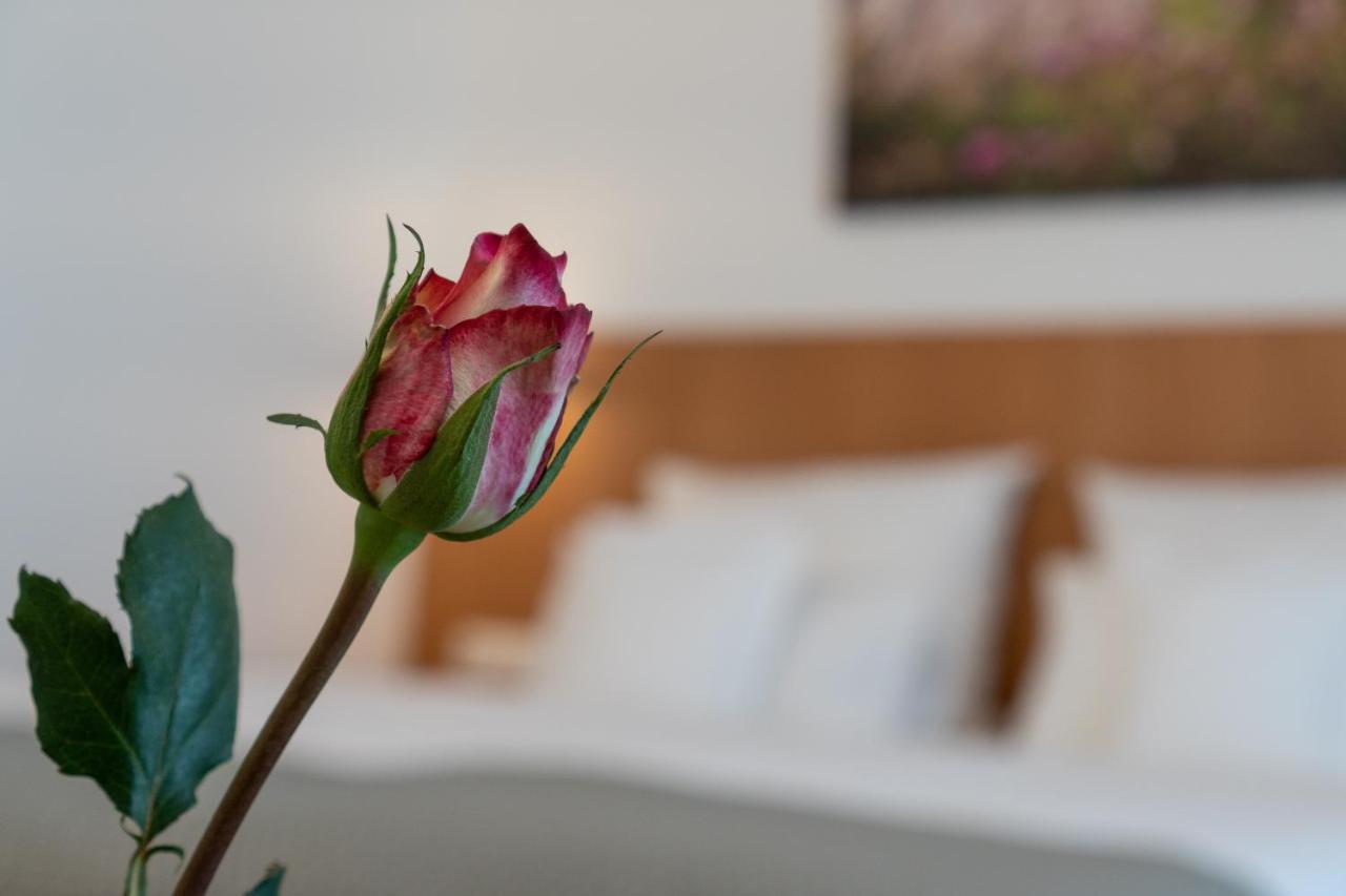 Hotel Elysee Seligenstadt Dış mekan fotoğraf